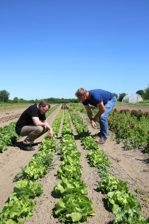Zwei Menschen auf einem Feld